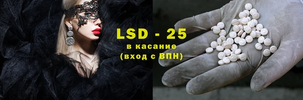 шишки Корсаков