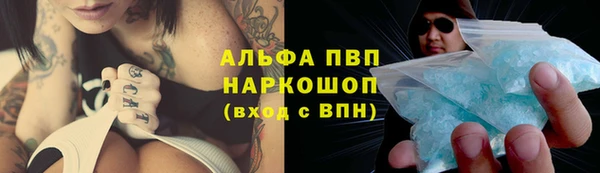 гашик Краснослободск