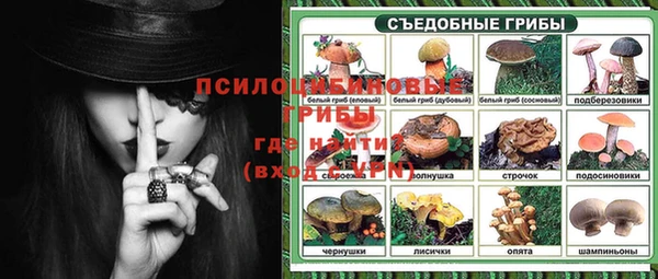 соль ск Костерёво