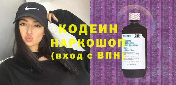 гашик Краснослободск