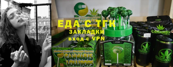 шишки Корсаков